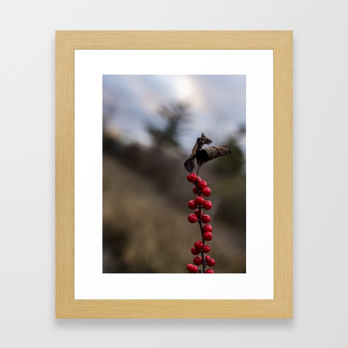 Red Berries Framed Art Print