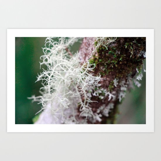 Life Form II Art Print