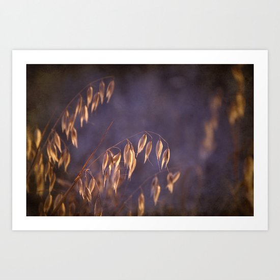 hot summer light Art Print