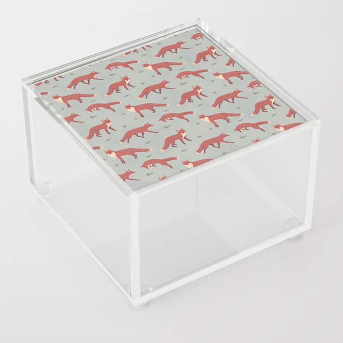 Foxes Jumping Acrylic Box