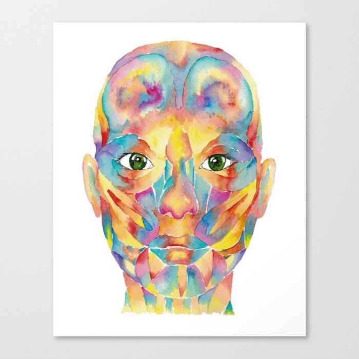 Anatomy of facial muscles expression skull Print Modern Watercolor Canvas Print