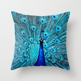 Peacock  Blue 11 Throw Pillow