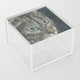 Stewie Acrylic Box