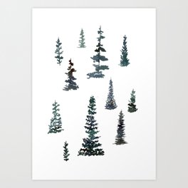 A Multitude of Pines Art Print