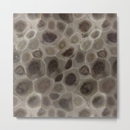 Petoskey Stone Metal Print