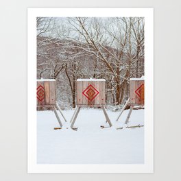 Upstate New York Snow VIII on Film Art Print