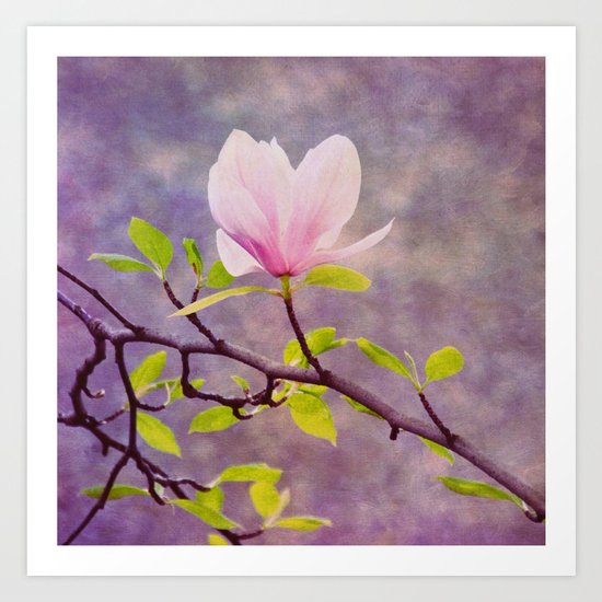 monday in may Art Print