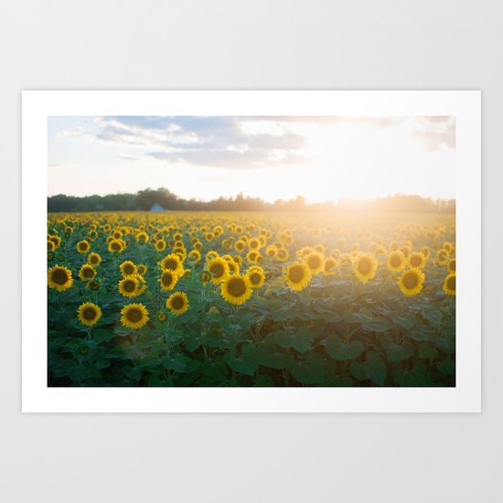Sunflower Day Art Print