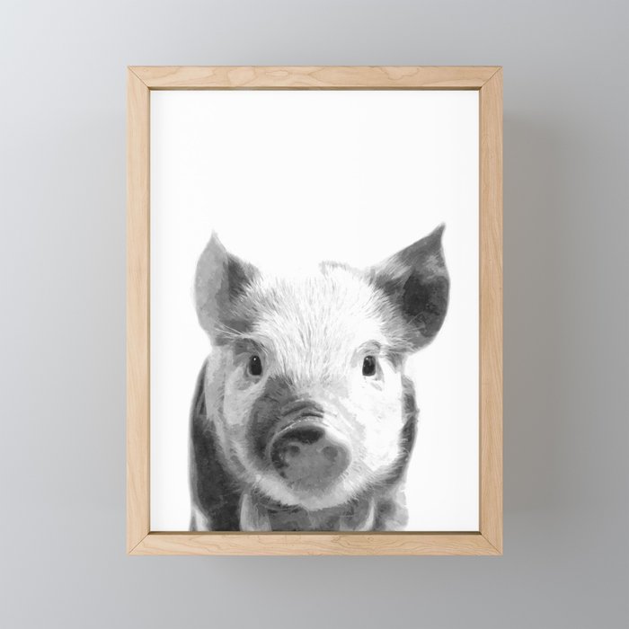 Black and white pig portrait Framed Mini Art Print