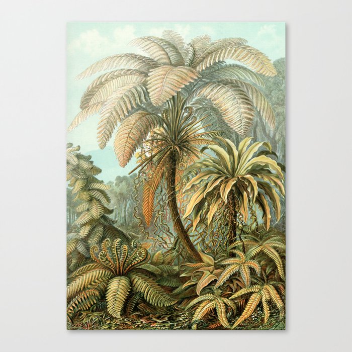 Vintage Tropical Palm Canvas Print