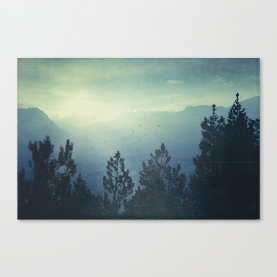 Waking Country Canvas Print