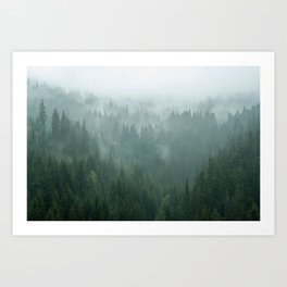 Deep forest Art Print