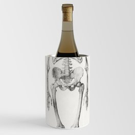 Human Skeleton, Anterior View Wine Chiller