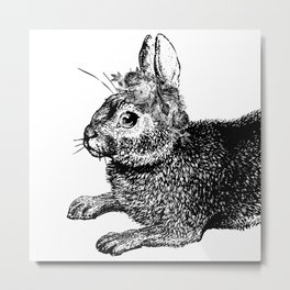The Rabbit and Roses | Vintage Rabbit with Flower Crown | Rabbit Portrait | Bunny | Black and White Metal Print