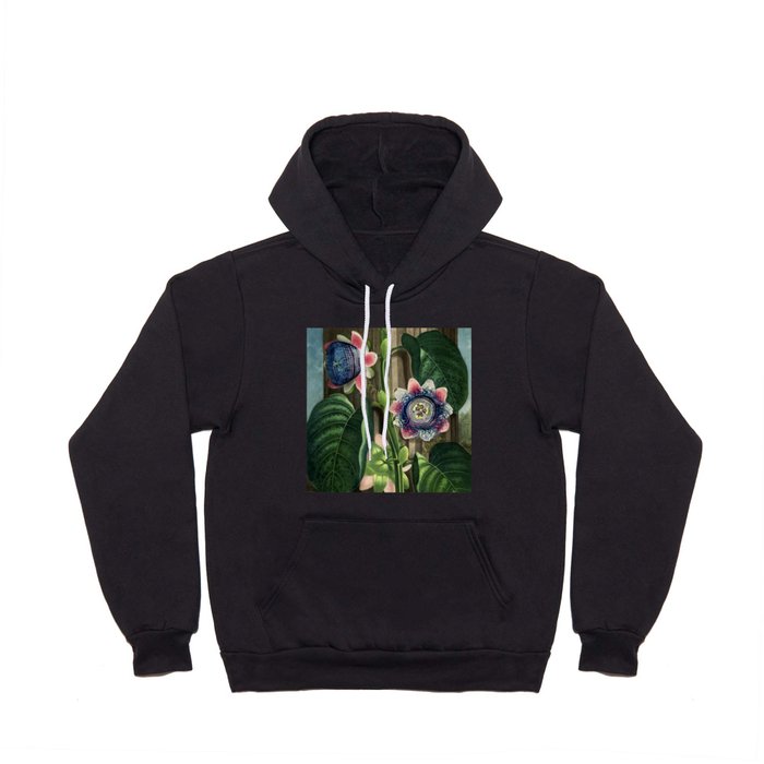 The Quadrangular Passion Flower :  New Illustration Of The Sexual System Hoody