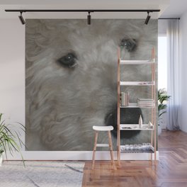 Cute Goldendoodle Puppy Dog Portrait Wall Mural