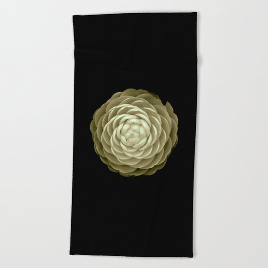 cream camelia on black background Beach Towel