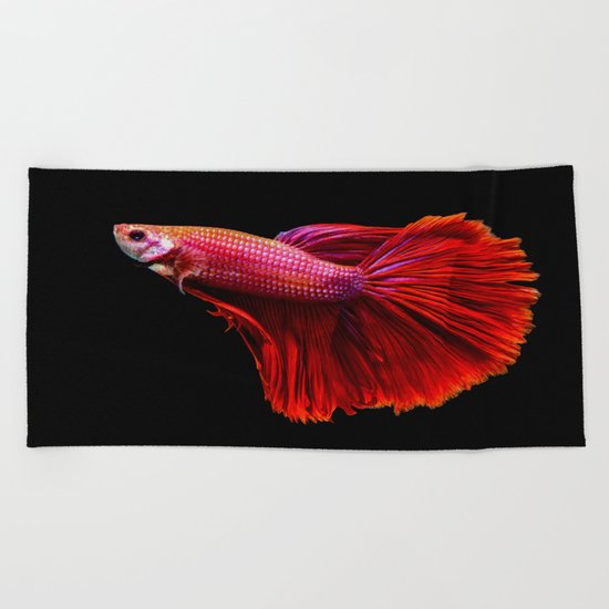 Siamese fighting fish Beach Towel