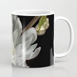 An Introduction to Spring Coffee Mug