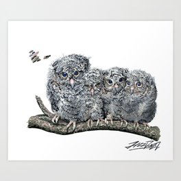 Baby Owls On Branch Art Print | Animal, Bird, Birds, Northamerica, Feather, Owls, Digital, Pet, Realism, Owl 