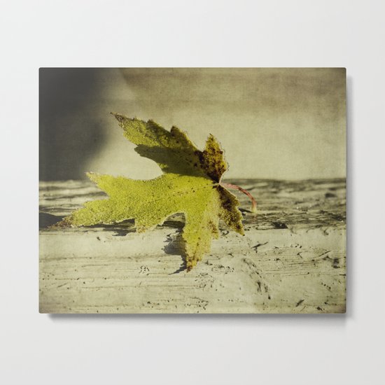 one leaf Metal Print