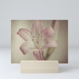 Flower Mini Art Print