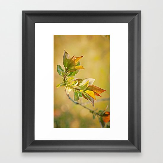 Spring Time Framed Art Print