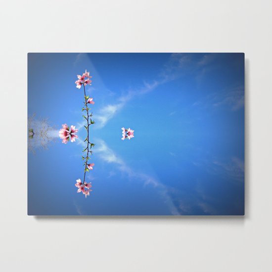 Float Metal Print