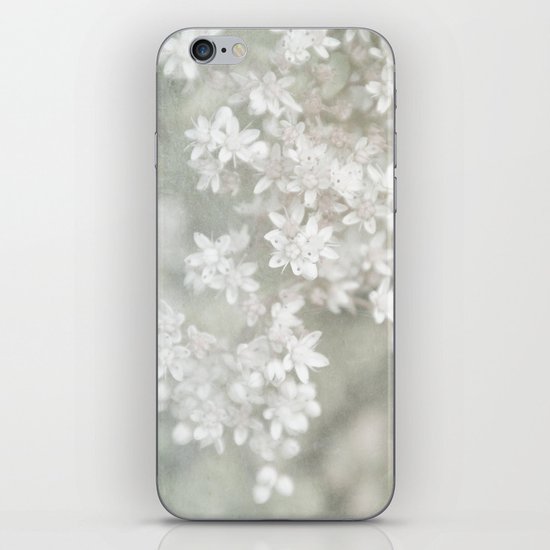 fading iPhone & iPod Skin