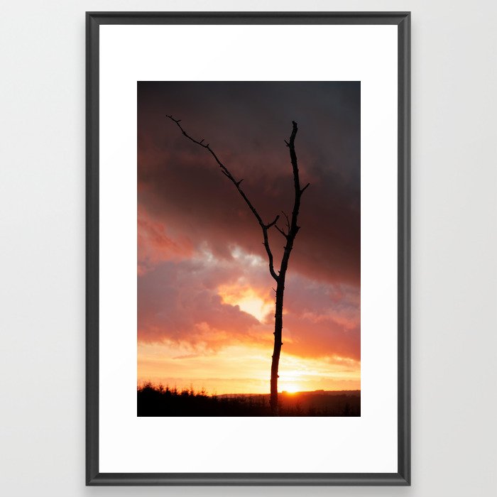 A Lonely Tree Framed Art Print