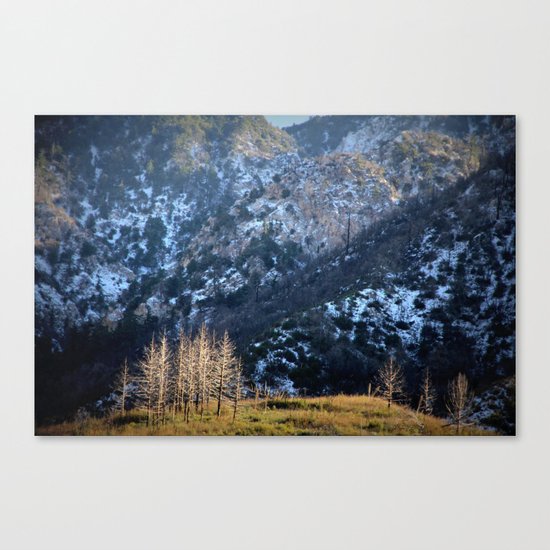 magic kingdom Canvas Print