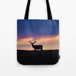 Sunset Beauty Tote Bag