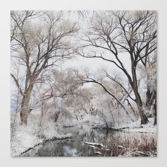 Winter Creek Canopy Canvas Print