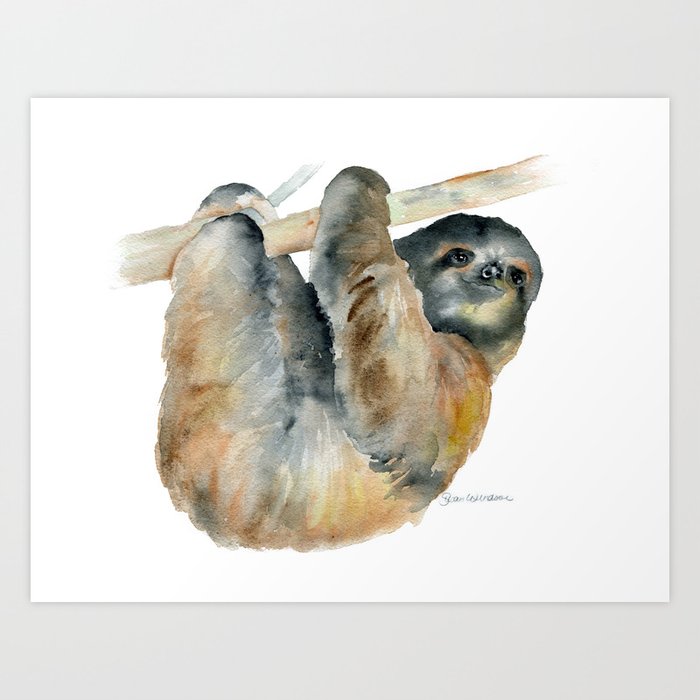 Sloth Watercolor Painting Art Print