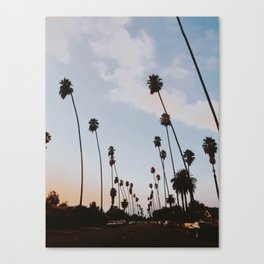 palm trees xxiv / california Canvas Print