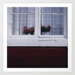 Flowers in window -  Photography – Old vintage house – window - Fine Art Print Art Print