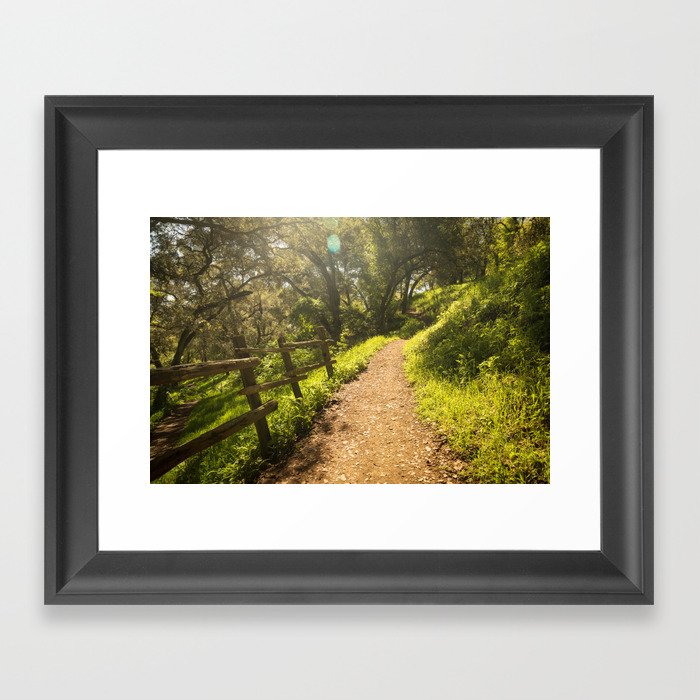 Forest Path Framed Art Print