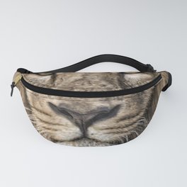I Have Eyes For You  Fanny Pack