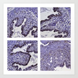 Indigo Cells Quadrant | Microscopy Photos by Skye Rain Art Art Print