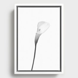 Calla | bright design Framed Canvas