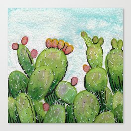 Cactus Pears Watercolor Canvas Print