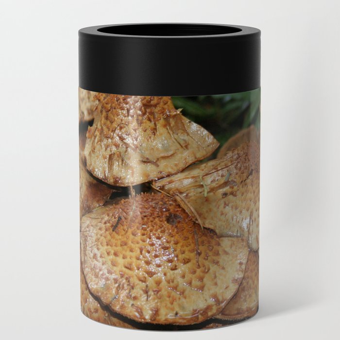 So mushroom in nature for me Can Cooler