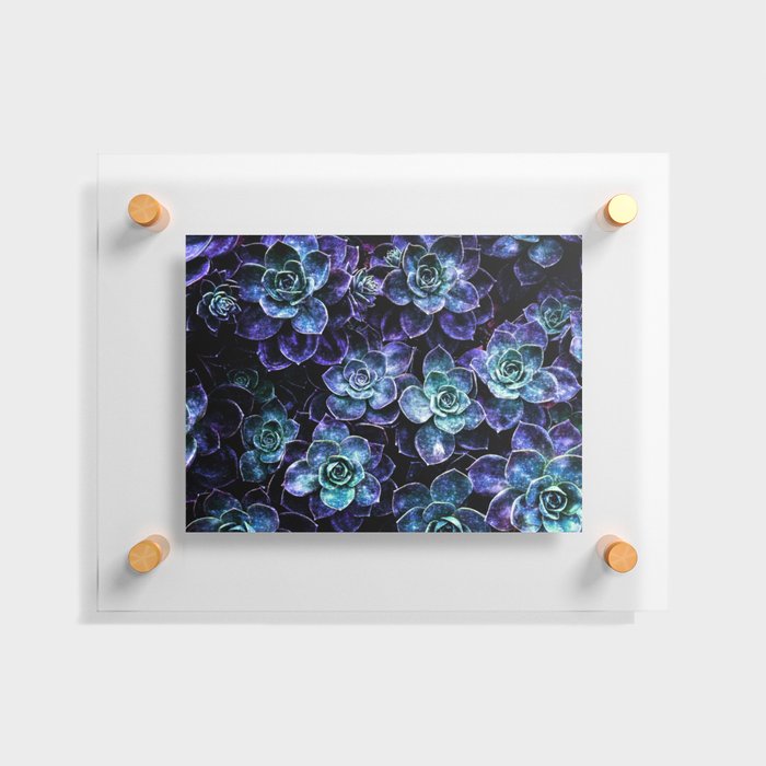 Succulents Purple Teal Mint Sparkle Floating Acrylic Print