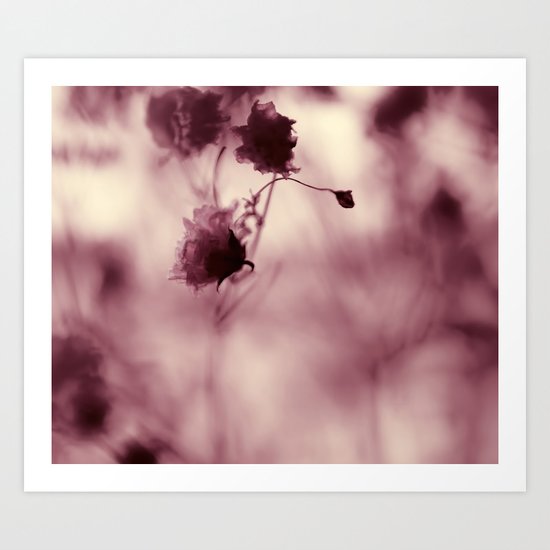 pink candy Art Print