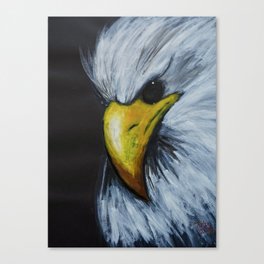 wild Canvas Print