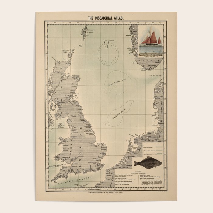 Old English Channel Halibut Fishing Locations Map (1883) Vintage