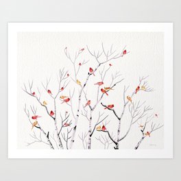 Birch Trees and Cardinal 2  Art Print