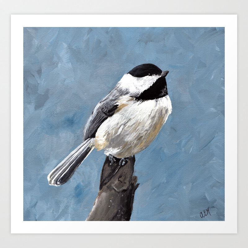 Chickadee Original Acrylic Art On Canvas Bird Painting Chickadee