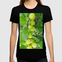 Gooseberry Branch with ripe berries  T Shirt