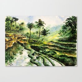 Sunny rice fields of Bali, Indonesia - Watercolor art Canvas Print